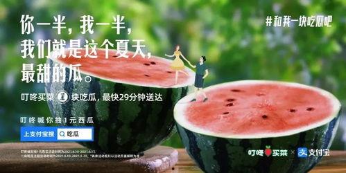 娱乐吃瓜酱开学文案,娱乐吃瓜酱带你领略校园风云